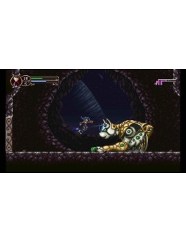 Timespinner