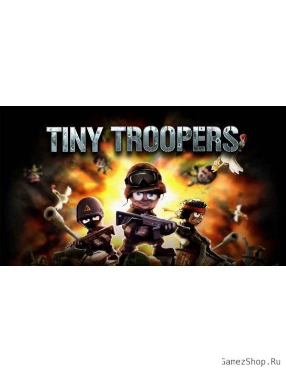 Tiny Troopers