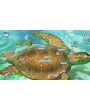 Squids Odyssey