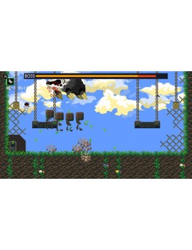 Sacred Stones