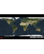 Making History: The Second World War