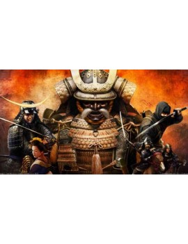 Total War Shogun 2 – Fall of the Samurai
