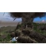Tropico 4 Collector's Bundle