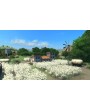 Tropico 4: Plantador