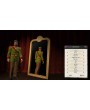 Tropico 5 - Complete Collection