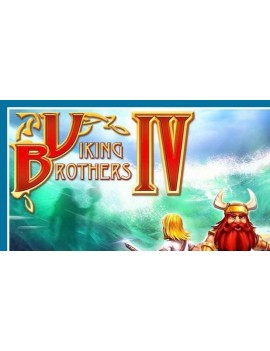 Viking Brothers 4