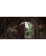 Assassin's Creed 4 (IV): Черный флаг (Black Flag) 