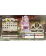 Atelier Lulua: The Scion of Arland 