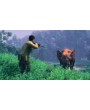 Cabela's African Adventure 