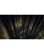 Dark Souls Remastered Русская Версия 