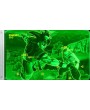 Dragon Ball: Xenoverse Коллекционное издание (Collector’s Edition) 