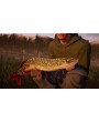 Fishing Sim World 