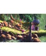 Giana Sisters: Twisted Dreams Directors Cut Русская Версия 