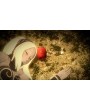 Gravity Rush Обновленная версия Русская Версия 