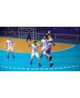 IHF Handball Challenge 17 