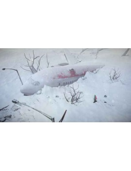 Impact Winter 