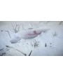 Impact Winter 