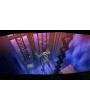 Persona 5. Коллекционное издание 