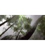 Robinson: The Journey (только для VR) 