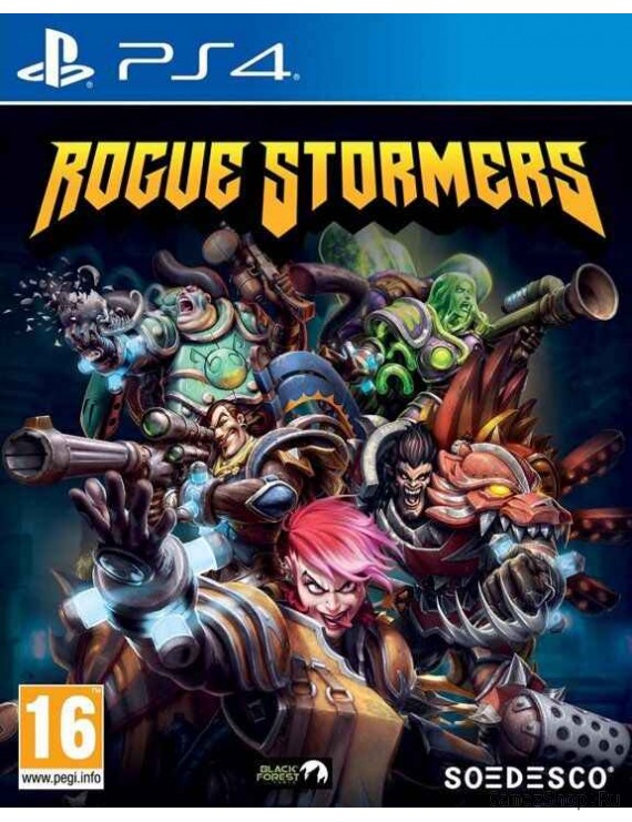 Rogue Stormers 