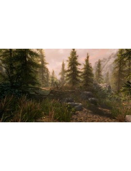 The Elder Scrolls 5 (V): Skyrim. Special Edition 