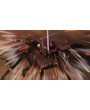Sword Art Online: Fatal Bullet. Collector's Edition 