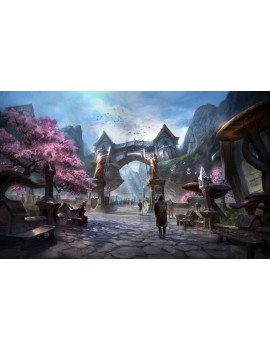 The Elder Scrolls Online 