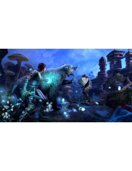 The Elder Scrolls Online: Tamriel Unlimited 