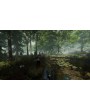The Forest 