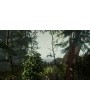 The Forest 