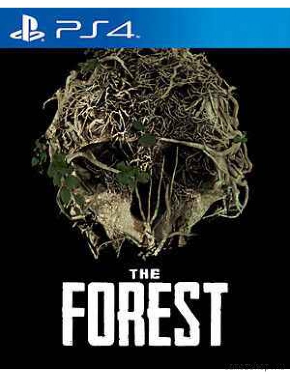 The Forest 