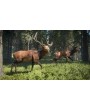 The Hunter: Call of the Wild 