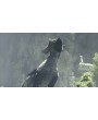 The Last Guardian. Последний хранитель Русская Версия 