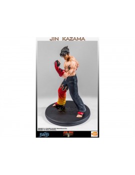 Статуя из игры Tekken 3 - Дзин Кадзама (Jin Kazama)