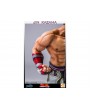 Статуя из игры Tekken 5 - Дзин Кадзама (Jin Kazama)