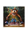 Фигурка из игры Crash Bandicoot - Крэш (Crash) Deluxe