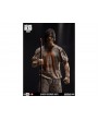 Фигурка из сериала Ходячие мертвецы -  Дерил Диксон (Daryl Dixon) Savior Prisoner