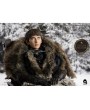 Фигурка из сериала Игра престолов -  Брандон Старк (Bran Stark)