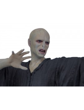 Статуя из фильма Гарри Поттер - Волан-де-Морт (Voldemort)