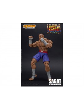 Фигурка из игры Street Fighter II - Сагат (Sagat)