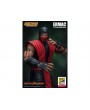 Фигурка из игры Mortal Kombat - Эрмак (Ermac)