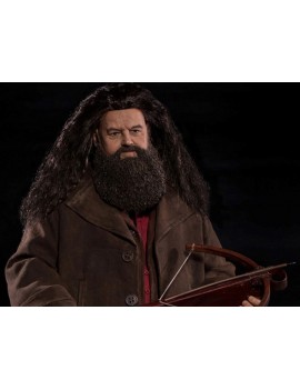 Фигурка из фильма Гарри Поттер и философский камень - Рубеус Хагрид (Rubeus Hagrid)
