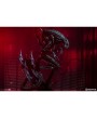 Статуя из фильма Чужие - Чужой воин (Alien Warrior)