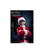 Фигурка из фильма Гарри Поттер и философский камень - Гарри Поттер (Harry Potter) Christmas Version