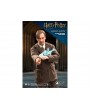 Фигурка из фильма Гарри Поттер и узник Азкабана - Римус Люпин (Remus Lupin)