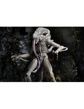 Фигурка из фильма Чужие - Чужой Альбинос (Albino Alien)