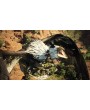 Dragon's Dogma 2 Deluxe Edition