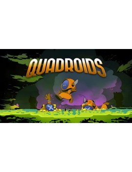 Quadroids