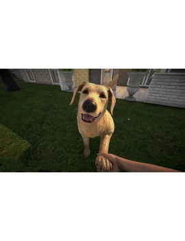 Pets Hotel