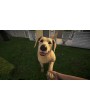 Pets Hotel